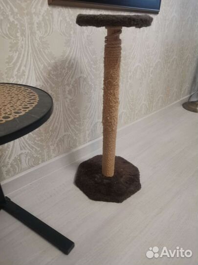 Когтеточка для кошек бу