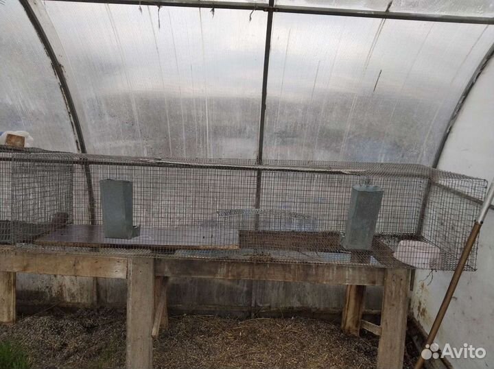 Клетка для кролика