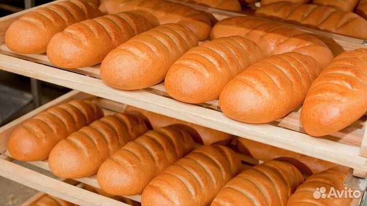 Хлебные лотки для транспортировки