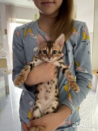 Бенгальская девочка