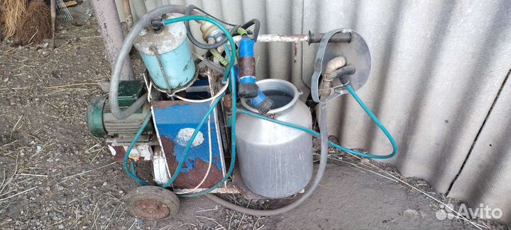 Доильный аппарат бу