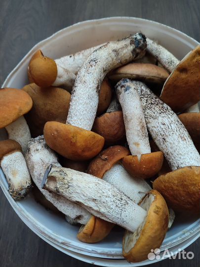 Грибы красноголовики