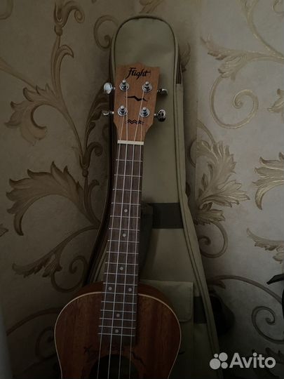 Укулеле flight концерт