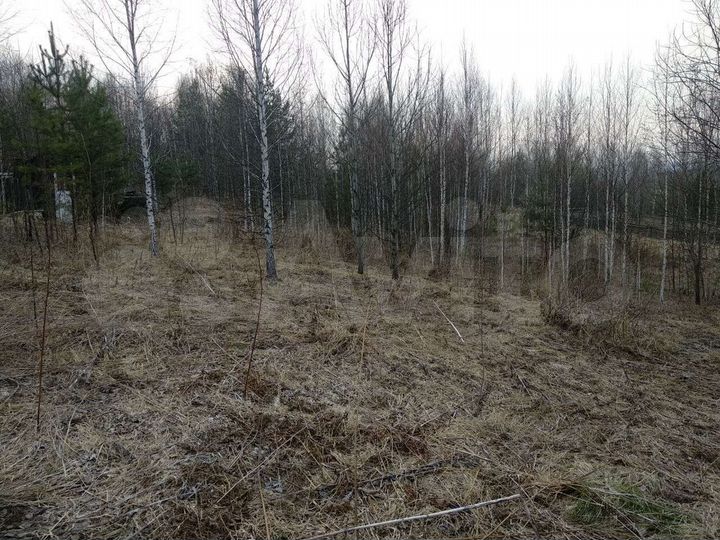 Участок 6 сот. (СНТ, ДНП)