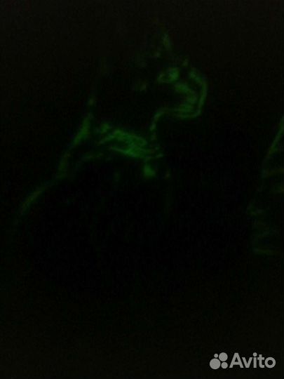 Картина из Египта на папирусе