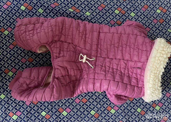 Одежды для собак мопсов,тойтерьеров