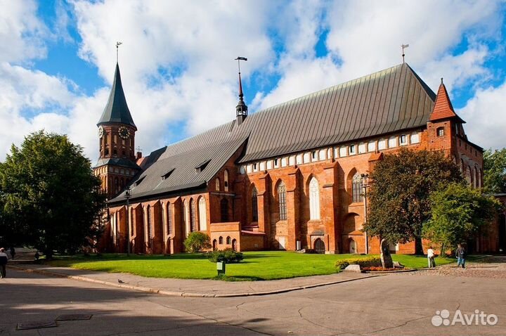 Экскурсии по Калининграду и области