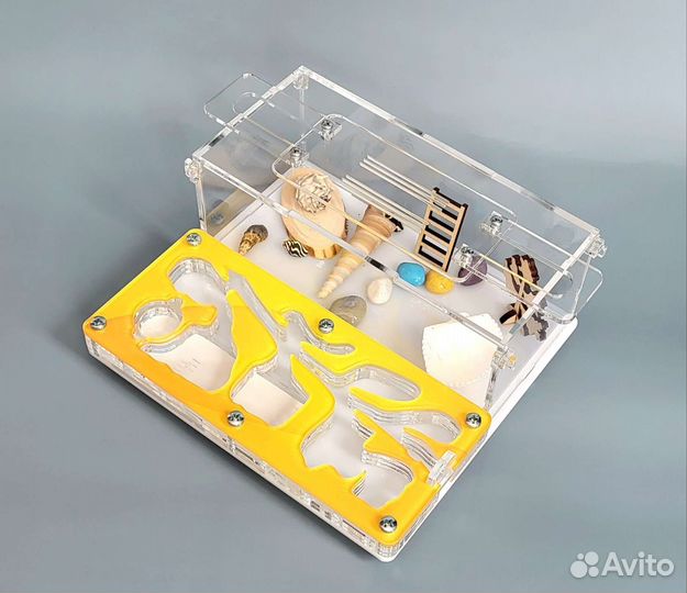 Муравьиная ферма, муравьи