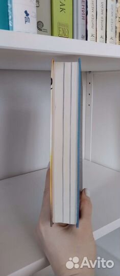 Книга Мадонна Madonna Люси Обрайен биография