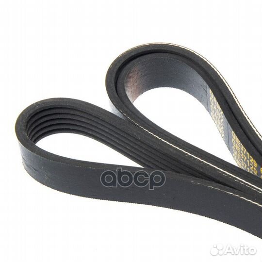Ремень поликлиновый 6PK1753 VAG VW T4 99-04 GAN