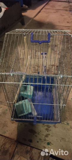 Клетка для попугая бу