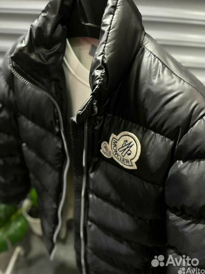 Куртка Moncler мужская