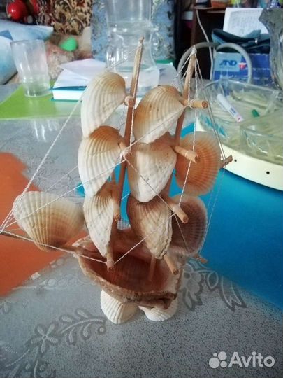 Ракушка кораблик