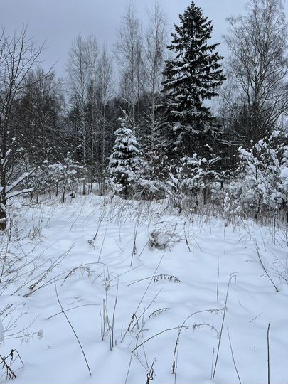 Дом 76 м² на участке 30 сот.