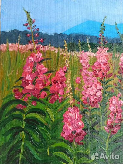 Картина маслом Иван-чай 30*20