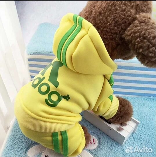 Костюм для собачки