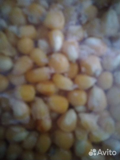 Рыболовные снасти