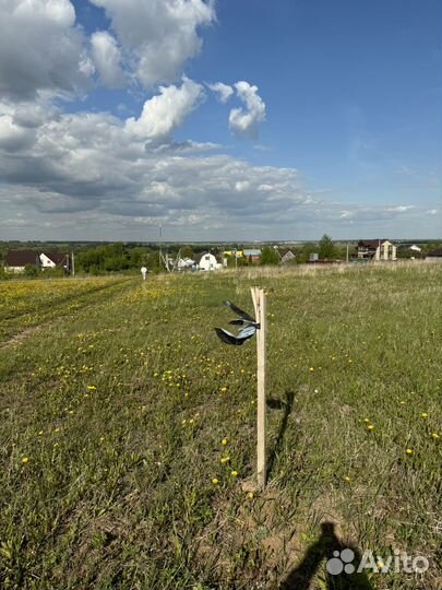 Продажа доли в мясопереработке