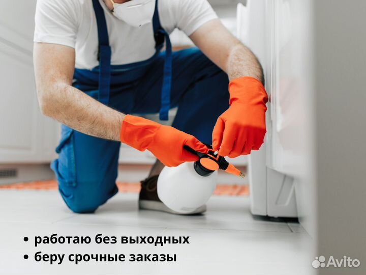 Уничтожение тараканов, муравьев