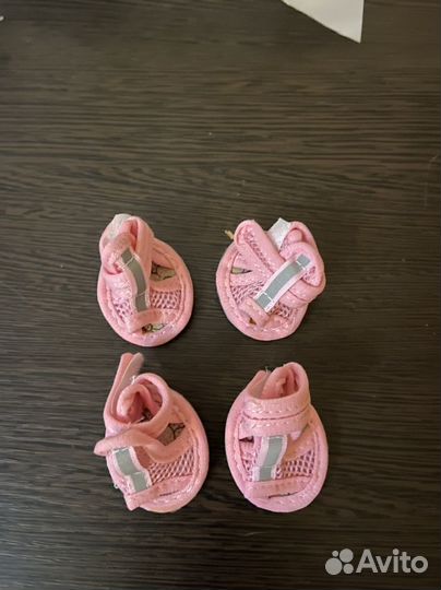 Обувь для маленьких собак