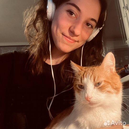 Репетитор по Математике огэ и егэ