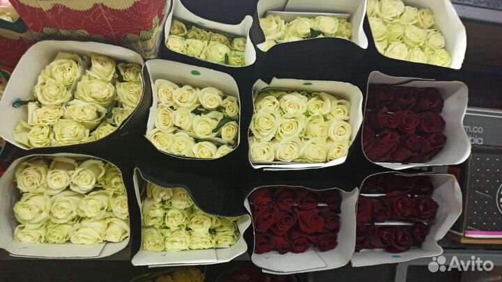 Цветы пачками