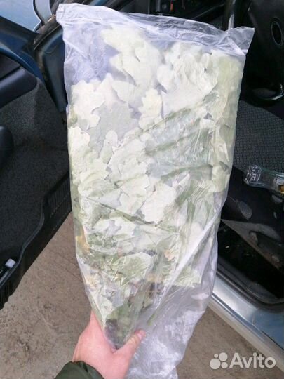 Веники березовые и дубовые для бани