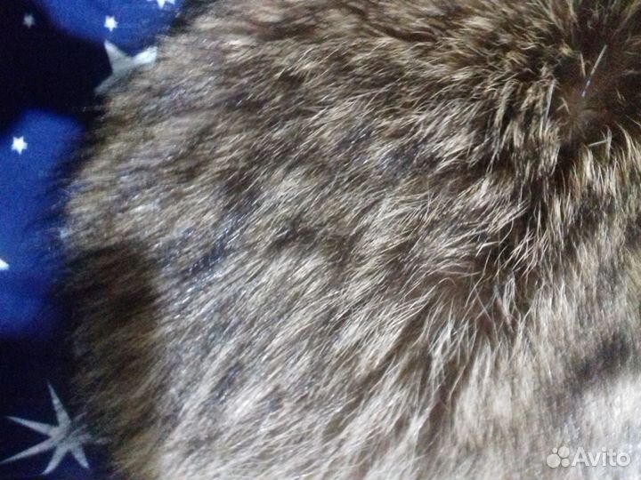 Мужская шапка натуралка мех енот/кожа
