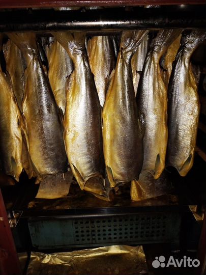 Рыба холодного копчения(форель, горбуша и др.)