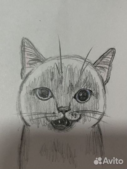 Нарисую ваших питомцев