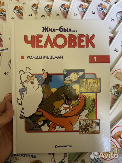 Как устроено тело человека