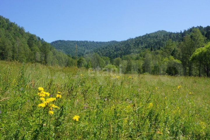 Участок 1,31 га (СНТ, ДНП)