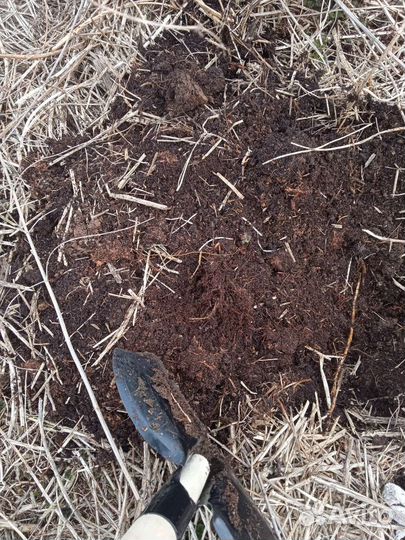 Перегной, земля