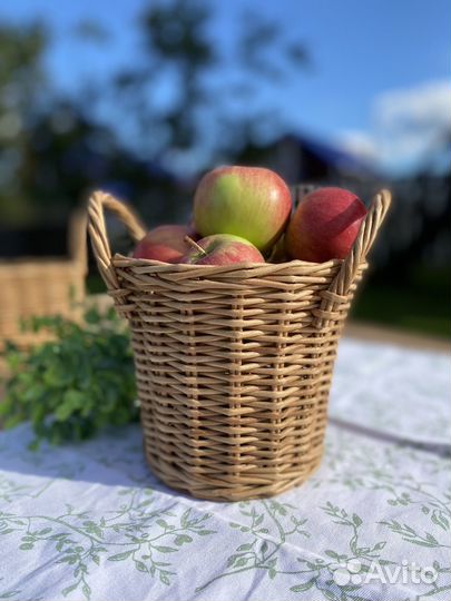 Набор плетеных корзин для кухни