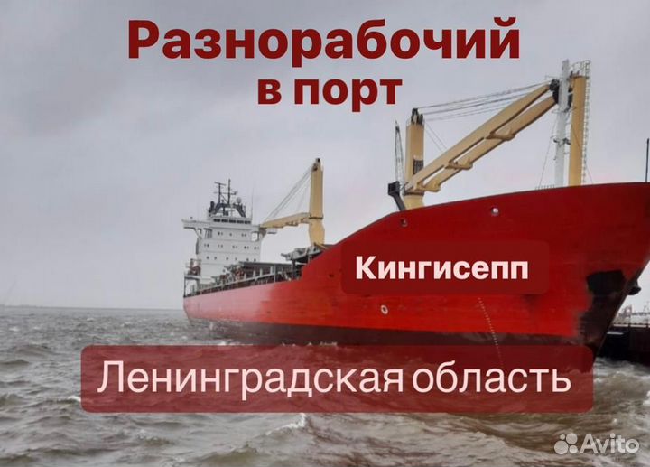 Разнорабочий в порт с ежедневными выплатами