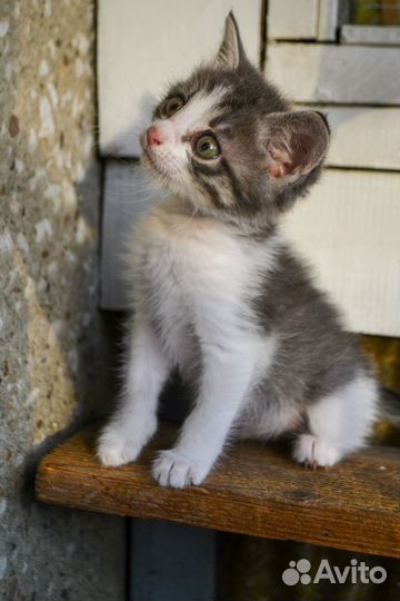 Красоточка девчуля