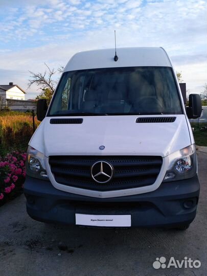 Аренда автобуса с водителем