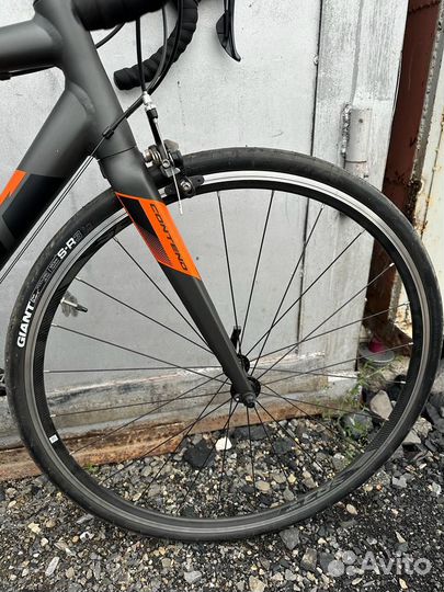 Велосипед Giant Contend 1 (2019)