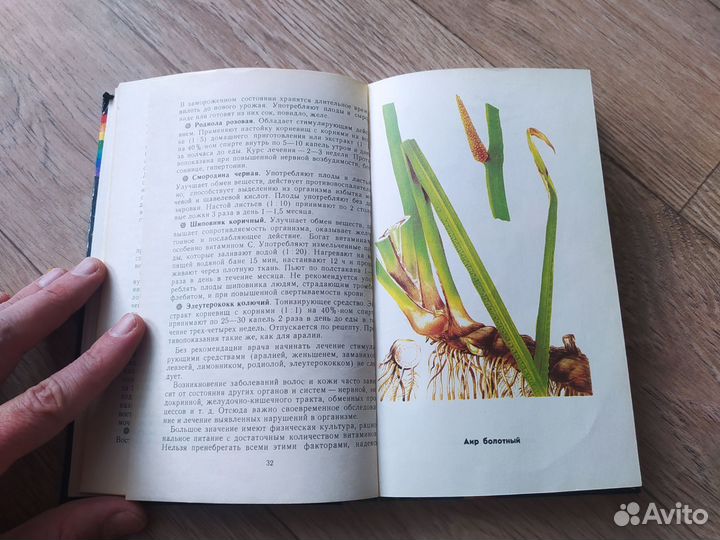 Растения и косметика