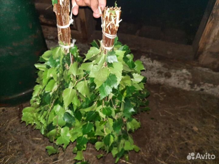 Березовые и дубовые веники