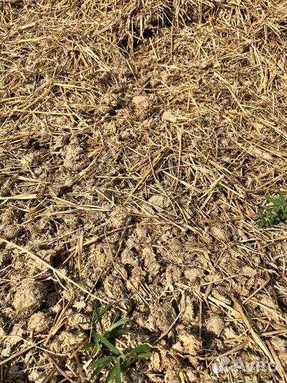 Конский навоз самовывоз