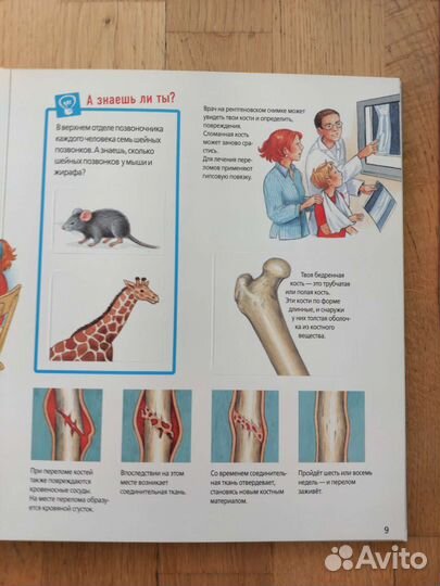 Детские энциклопедии с окошками