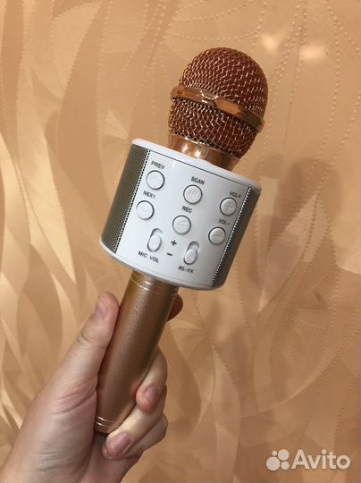 Микрофон WS-858