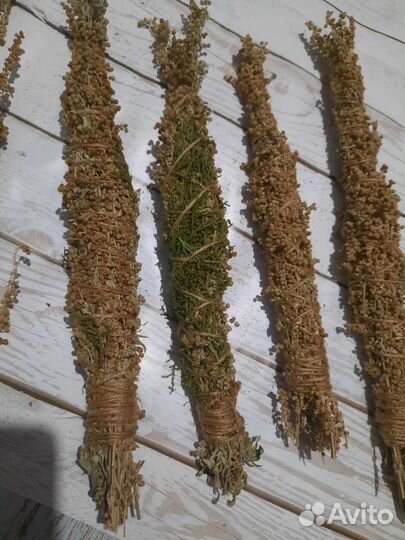 Скрутки из трав полынь
