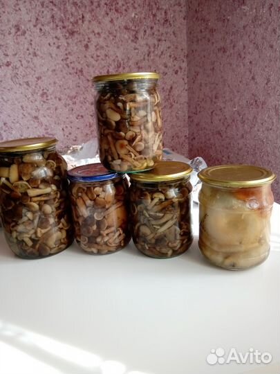 Грибы опята и солёные грузди