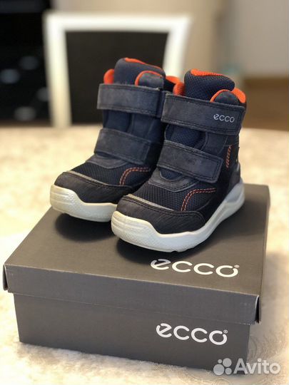 Ecco urban online mini