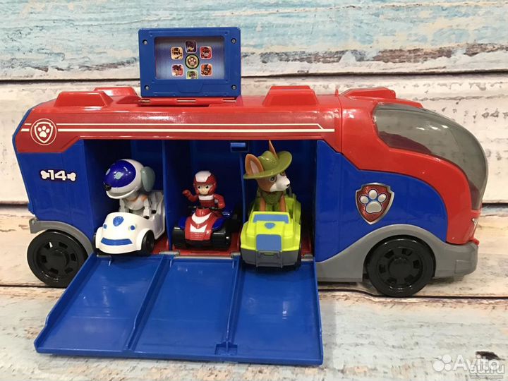 Щенки на автобусе