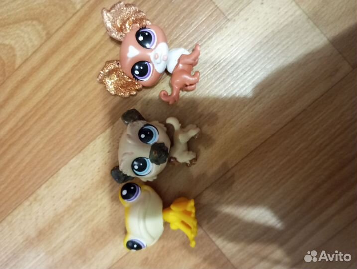 LPS, MLP