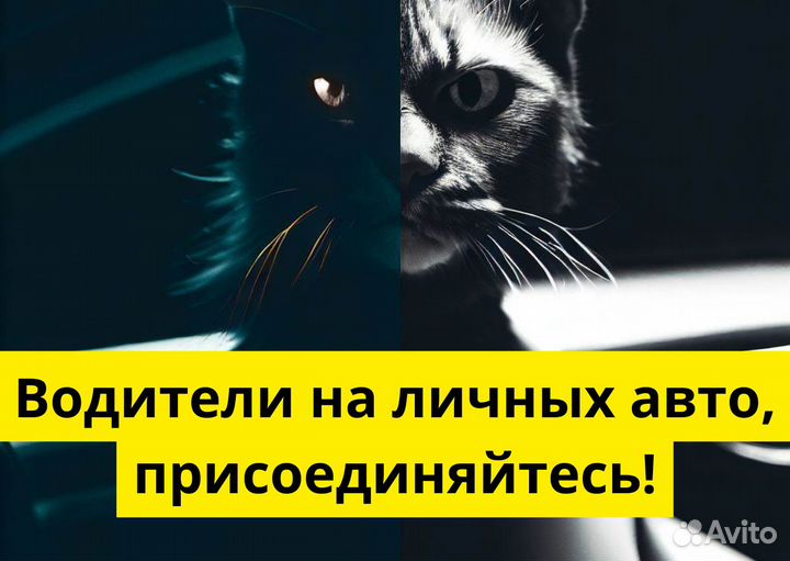 Ищем водителя с личным тс в Яндекс.Go