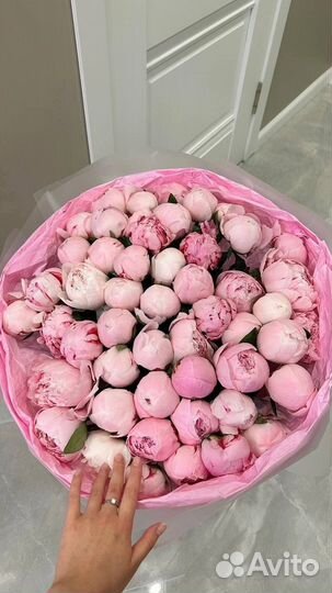 Пионы букет